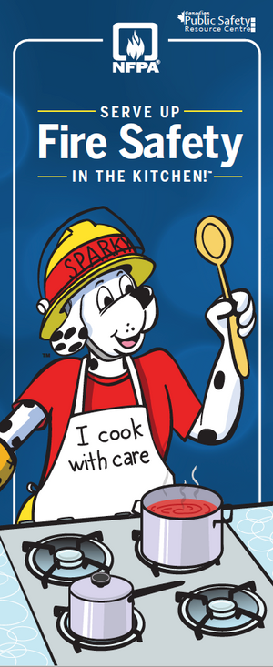 I Cook with Care Adult Brochure / Je Cuisine avec Prudence Brochure - CanOps