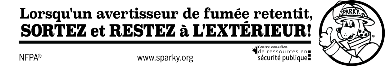 Sparky® Coloured Pencils